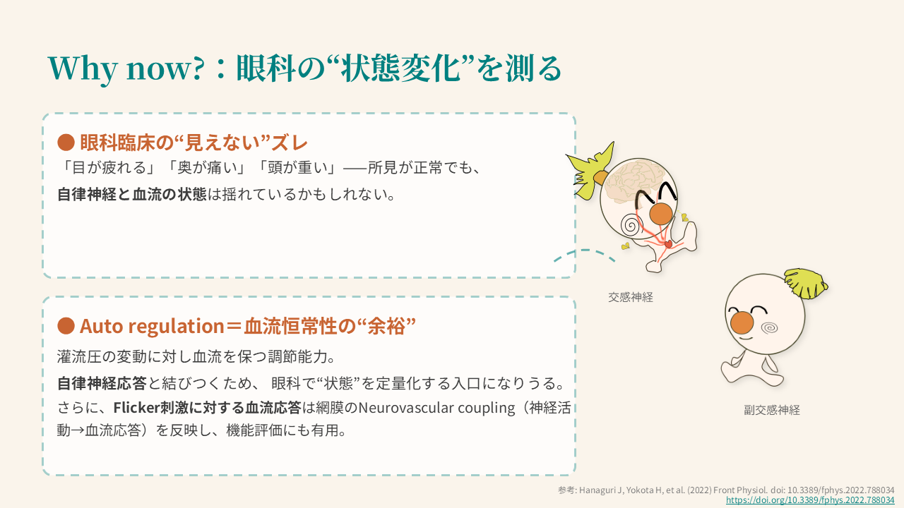 眼科, 自律神経, 血流恒常性, 灌流圧, 眼精疲労, 状態定量化, 交感神経, 副交感神経 眼科, 自律神経, 血流恒常性, 灌流圧, 眼精疲労, 状態定量化, 交感神経, 副交感神経