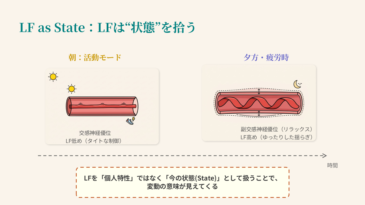 LF, 状態指標, 日内変動, 交感神経, 副交感神経, 血流ゆらぎ, リラックス LF, 状態指標, 日内変動, 交感神経, 副交感神経, 血流ゆらぎ, リラックス