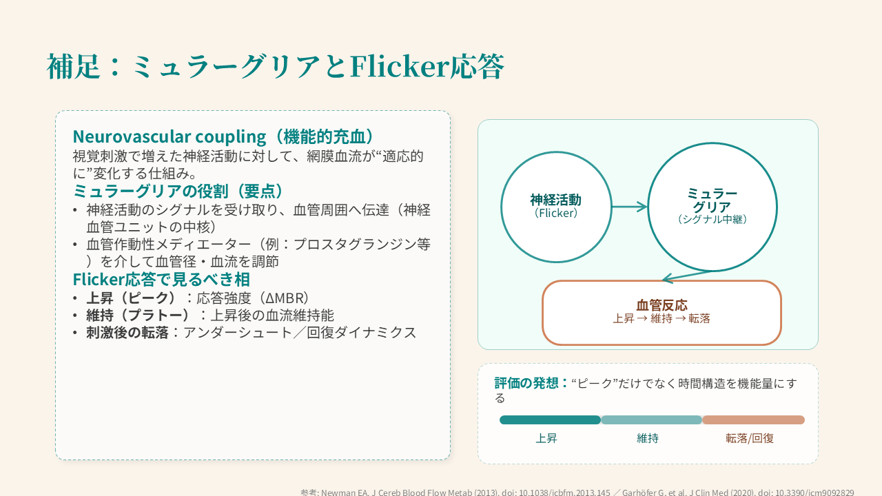 眼底血流, 状態指標, 機能指標, Autoregulation不全, 可視化 眼底血流, 状態指標, 機能指標, Autoregulation不全, 可視化