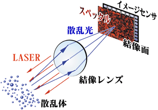 生体からスペックル