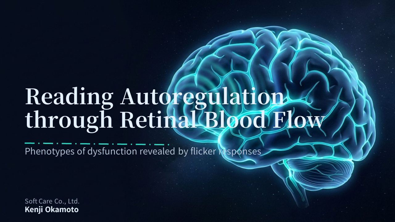 LSFG-Micro LFxFlicker